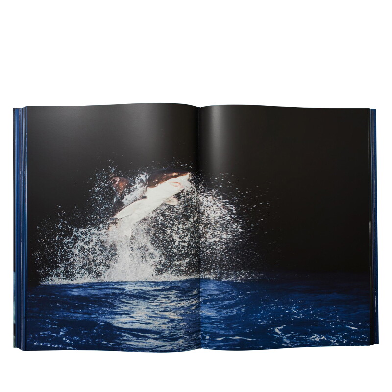 Cover image 0