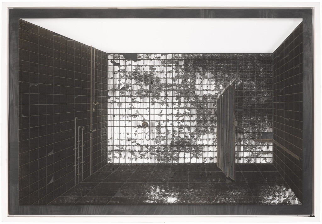 View full screen - View 1 of Lot 658. Erosion (Changing Room).