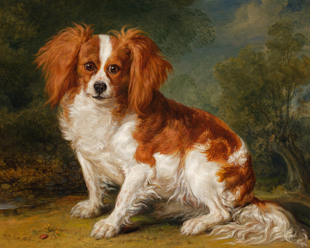 View full screen - View 1 of Lot 168. Dash, Ward’s Spaniel.