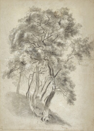 View full screen - View 1 of Lot 7. Study of trees on a hillside, probably at Lake Nemi.