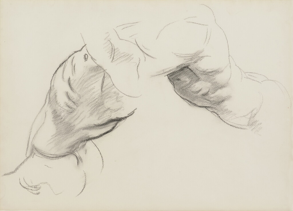 View full screen - View 1 of Lot 2225. Partial Left Torso Studies.
