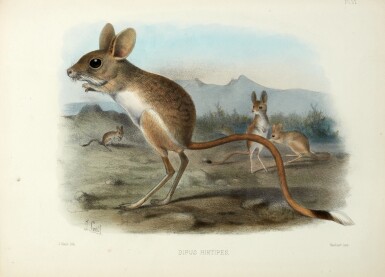 View full screen - View 1 of Lot 488. Henry Baker Tristram | The survey of Western Palestine, the flora and fauna of Palestine, London, 1884, original buckram.