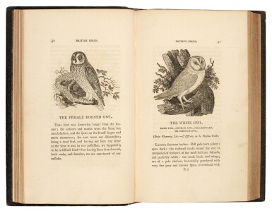 View full screen - View 1 of Lot 4. Thomas Bewick | History of British Birds, 1797–1804–1821, 2 volumes.