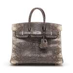 Ombré Shiny Salvator Lizard Birkin 25 Palladium Hardware, 2020