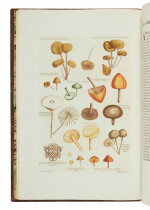 Martyn, John | The Rous-Fitzwilliam-Hesketh copy of the first botanical book to be illustrated with color-printed plates