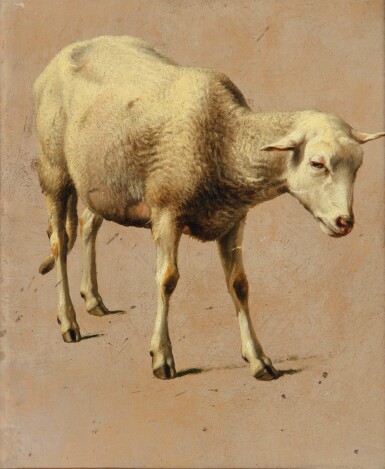 View full screen - View 1 of Lot 51. EUGÈNE-JOSEPH VERBOECKHOVEN | STUDY FOR A SHEEP.