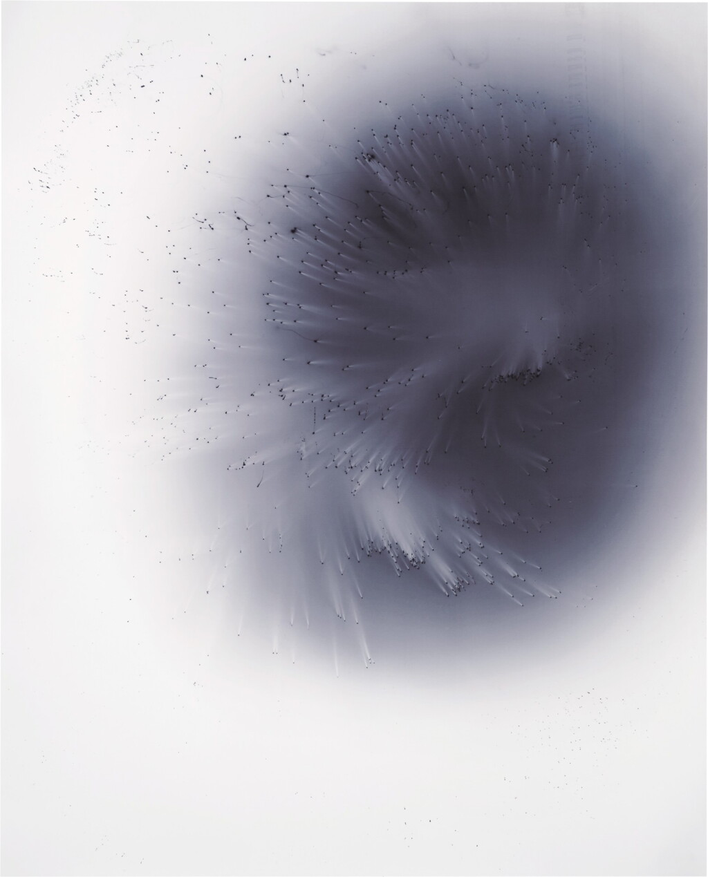 View full screen - View 1 of Lot 840. WOLFGANG TILLMANS | BLUSHES #127.