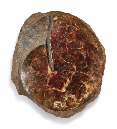 View full screen - View 1 of Lot 41. IRIDESCENT AMMONITE.