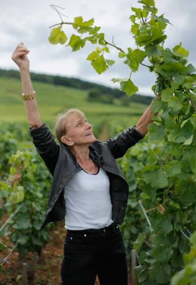 View full screen - View 1 of Lot 1308. Chassagne Montrachet Rouge 1990 Maison Leroy (11 BT) .