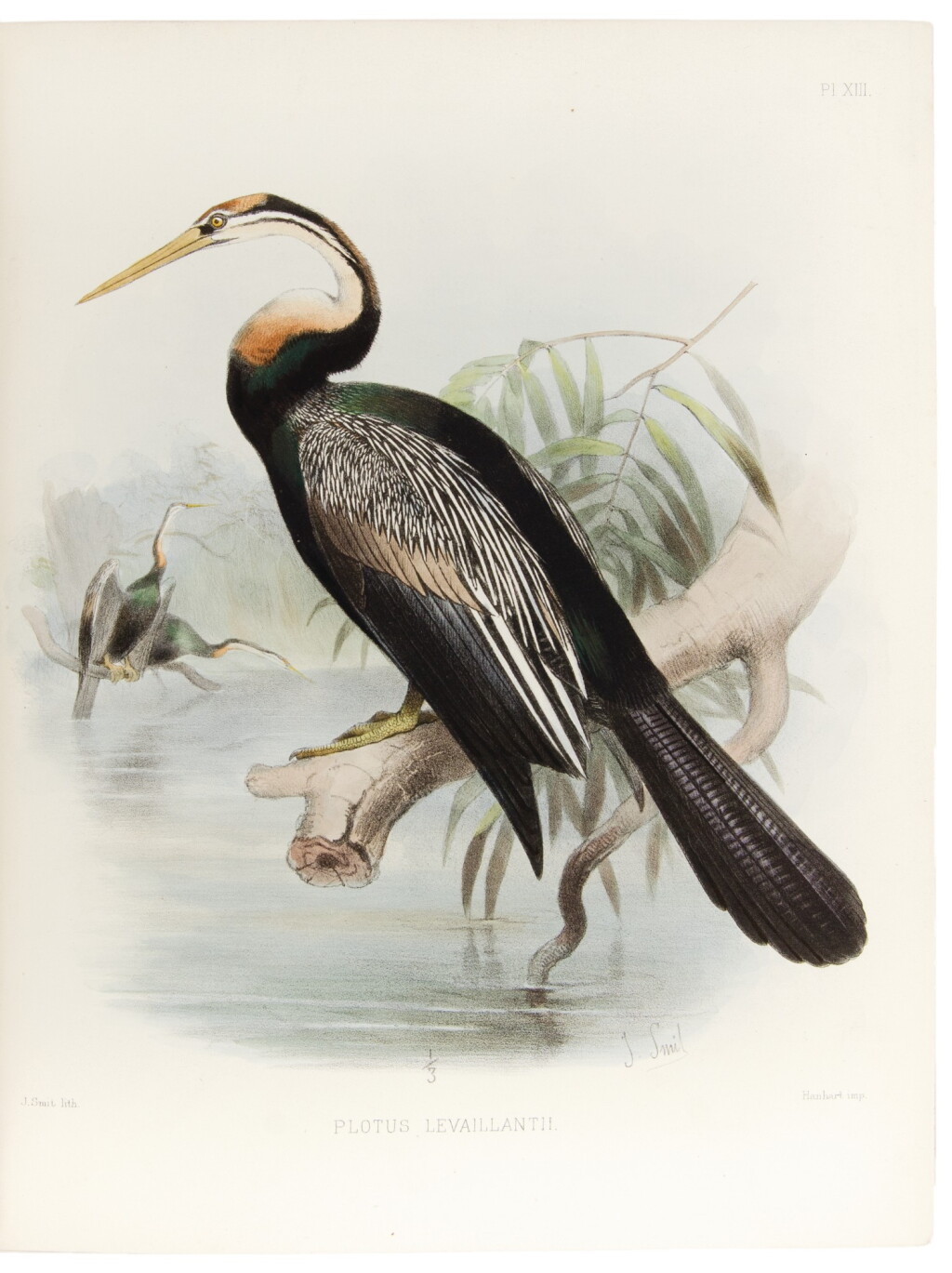 View full screen - View 1 of Lot 137. Tristram, Henry Baker. First edition with hand colored plates—from the library of the Duke of Westminster.