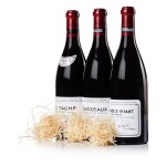Assortment Case 2010 Domaine de la Romanée-Conti (3 BT)