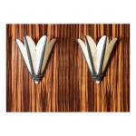 Pair of "Aloe" Sconces