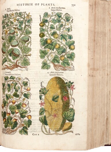 View full screen - View 1 of Lot 12. Gerard | The Herball or Generall Historie of Plantes, 1597.