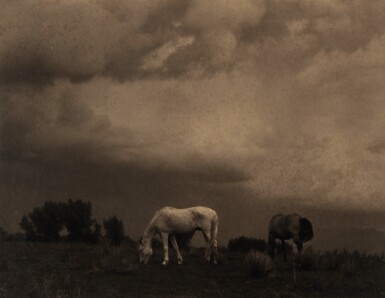 View full screen - View 1 of Lot 147. 'New Mexico' (Grazing Horses, Taos).