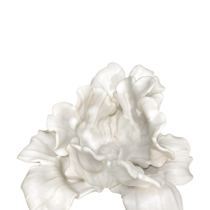 Cover image 0