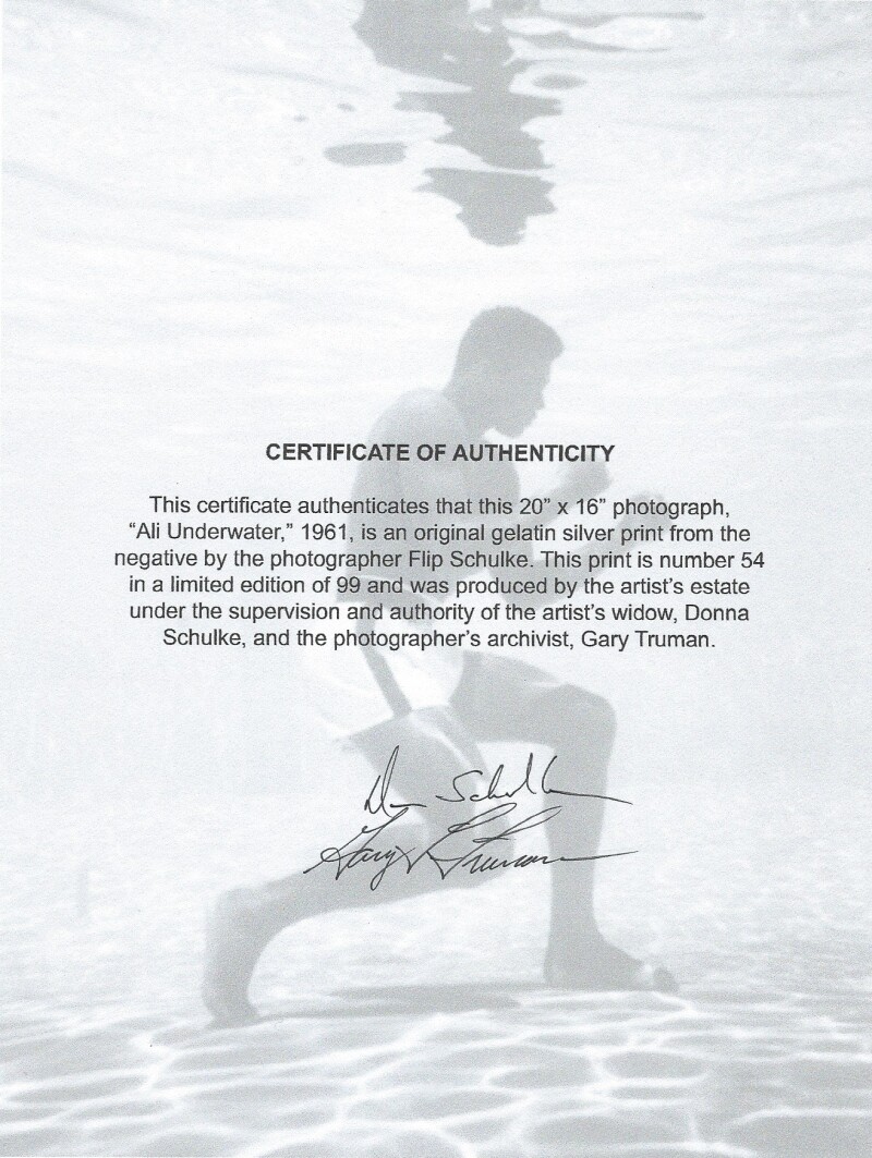 Cover image 0