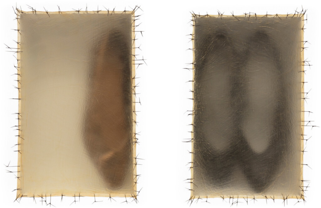 View full screen - View 1 of Lot 256. DORIS SALCEDO | ATRABILIARIOS.