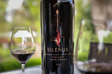 View full screen - View 1 of Lot 52. Silenus Winery | Double Magnum and Reserve Tasting 2016.