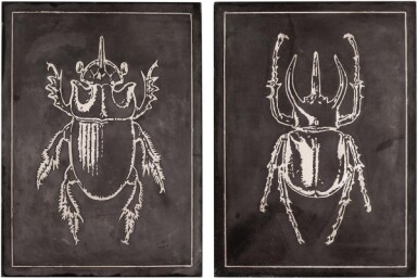 View full screen - View 1 of Lot 33. Franz Josef Steger and Carl Ernst Bock, Leipzig, Germany, 19th century | Pair of Didactic Panels Depicting Scarabs.
