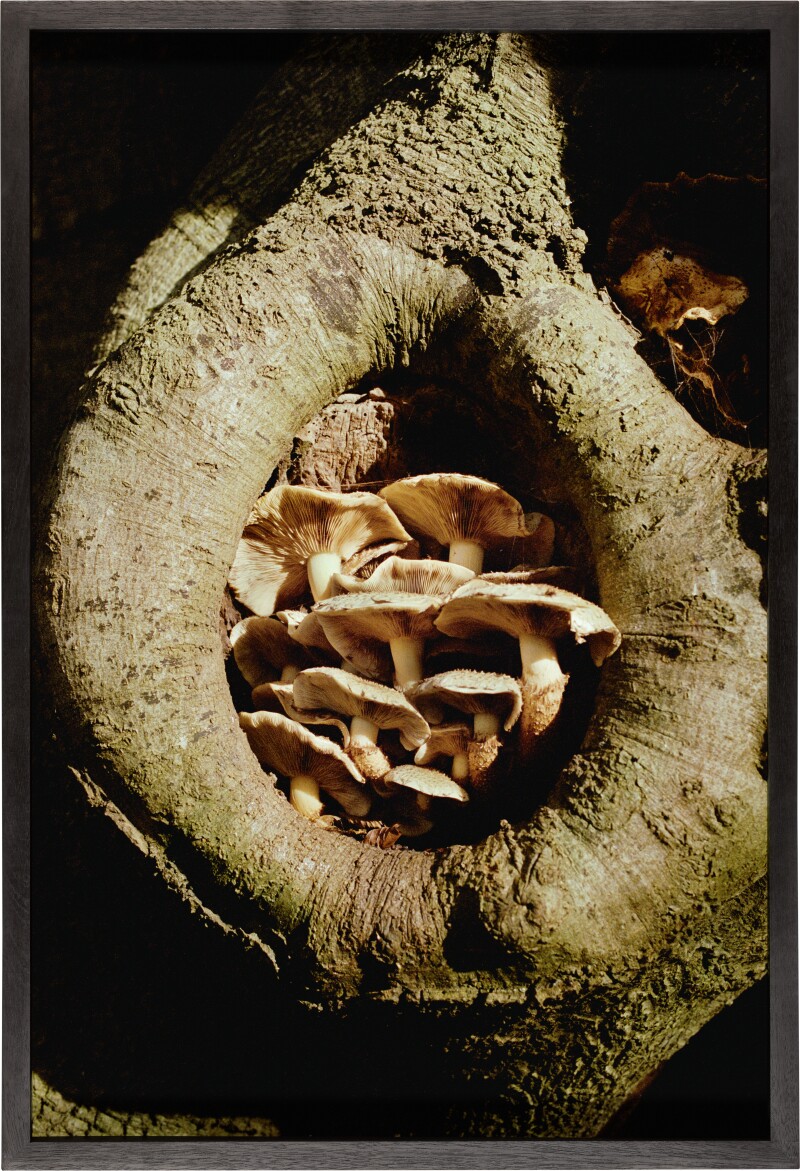 Cover image 0