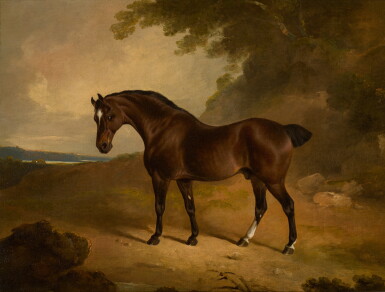 View full screen - View 1 of Lot 512. A bay pony in a landscape.