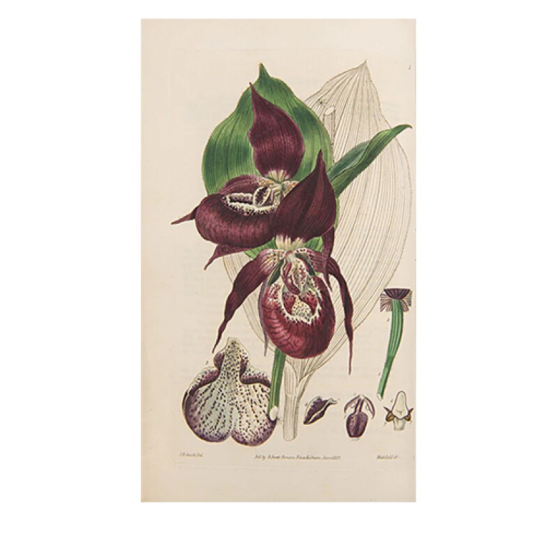 Cover image 0