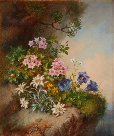 View full screen - View 1 of Lot 678. Alpine Flowers.