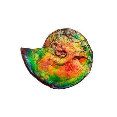 View full screen - View 1 of Lot 36. Large Iridescent Ammonite Fossil.
