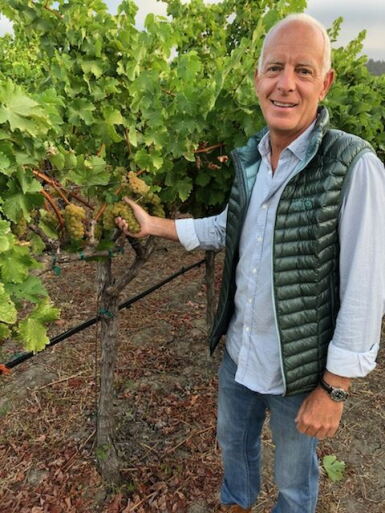 View full screen - View 1 of Lot 92. TEXTBOOK Vineyards, 5ive Bordeaux Red Blend, Red Table Wine, Yountville 2019 (60 BT).