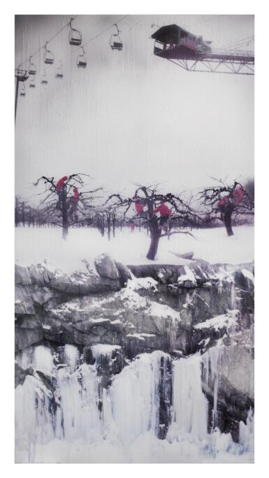 View full screen - View 1 of Lot 22. Orchard (from Sheltered).