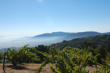 View full screen - View 1 of Lot 471. Ridge, Monte Bello 2015 (12 BT).