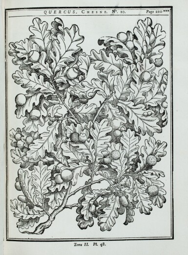 View full screen - View 1 of Lot 24. Traité des arbres... Paris,1755. 2 vol. in-4. Reliure de l'époque. Edition originale..