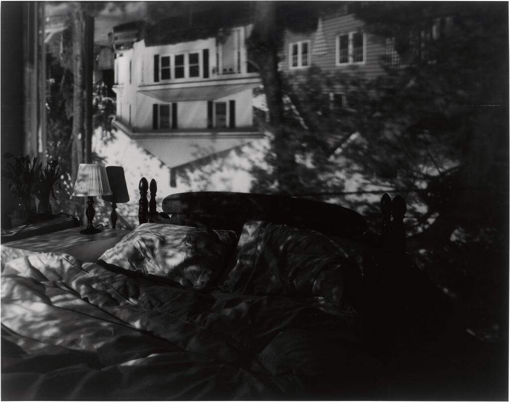 View full screen - View 1 of Lot 47. 'Camera Obscura Image of Houses Across the Street in Our Bedroom'.
