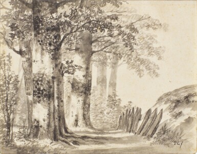 View full screen - View 1 of Lot 137. Trees by a fence in the dunes.