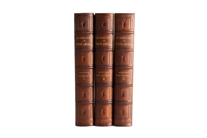 Cover image 0