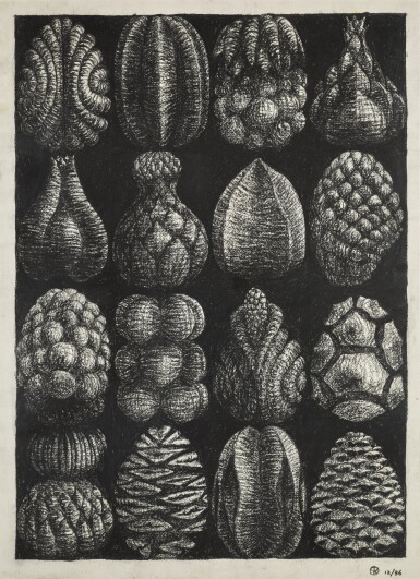View full screen - View 1 of Lot 155. Fruit.
