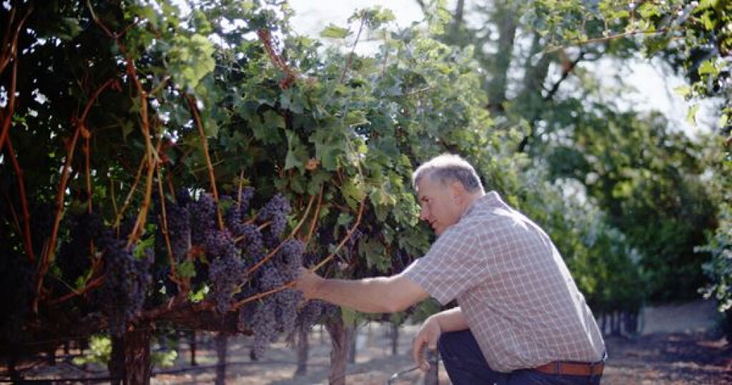 View full screen - View 1 of Lot 51. William Cole Vineyards | A Vertical and More of William Cole (6 BT, 1 MAG).