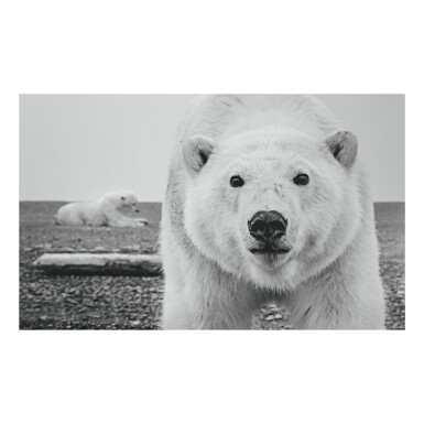 View full screen - View 1 of Lot 209. DAVID YARROW | HELLO.