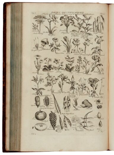 View full screen - View 1 of Lot 16. John Hill | The Vegetable System. London, 1761-1775, 20 volumes bound in 13, folio, contemporary calf.