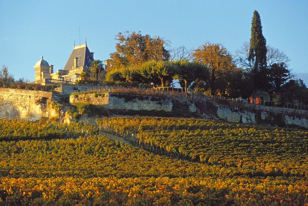 View full screen - View 1 of Lot 470. Château Ausone 1988 (12 BT).