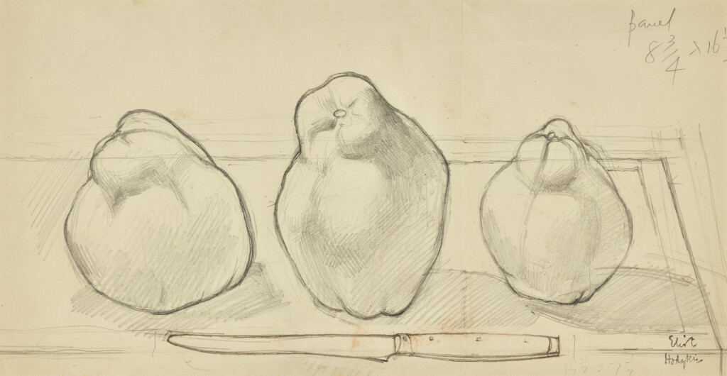 View full screen - View 1 of Lot 111. ELIOT HODGKIN | STUDY FOR FIVE GLADIOLUS BULBS; SKETCH FOR THREE QUINCES; STUDY FOR BRYONY.