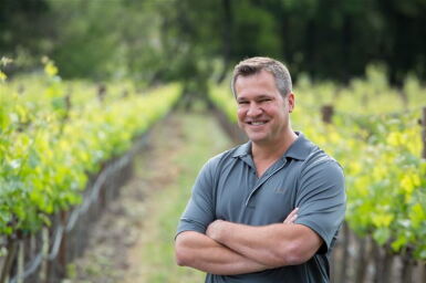 View full screen - View 1 of Lot 90. Stag's Leap Wine Cellars, Cabernet Sauvignon, FAY Block 2A, Stags Leap District 2020 (60 BT or 30 MAG).