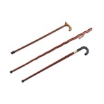 A set of three metal mounted wood canes, 20th century | Ensemble de trois cannes en bois et métal, XXe siècle