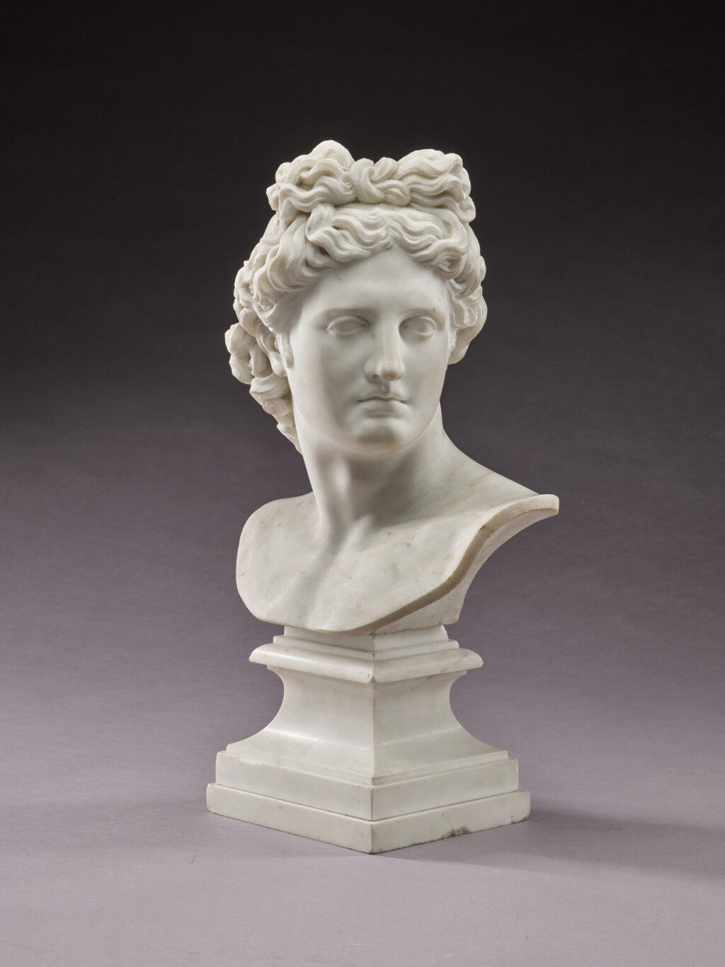 View full screen - View 1 of Lot 46. Bust of the Apollo Belvedere.