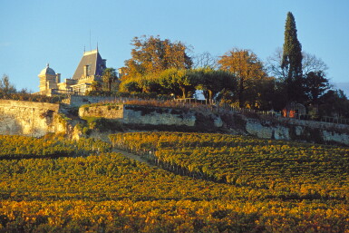 View full screen - View 1 of Lot 46. Château Ausone 2005 (1 DM).