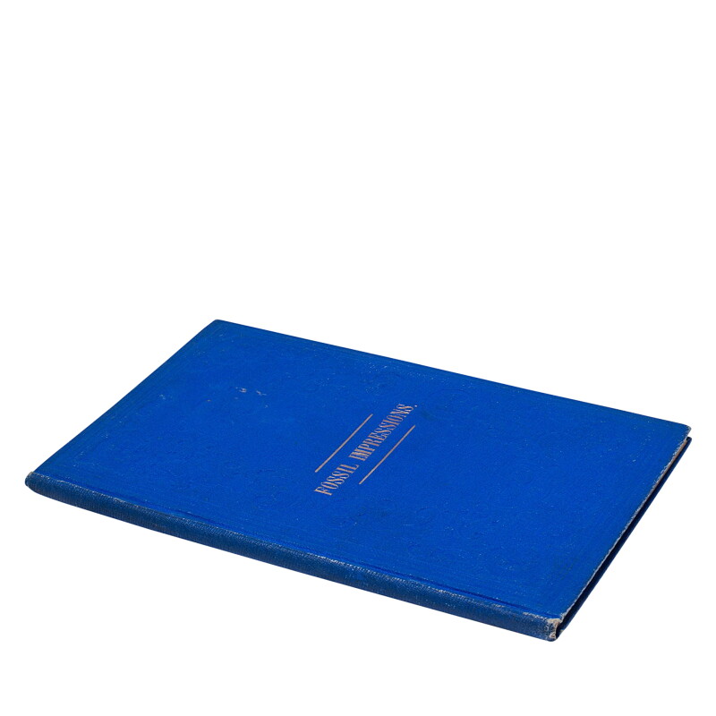 Cover image 0