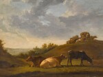 Cattle grazing in a landscape, a river beyond