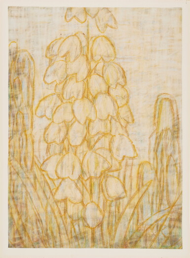 View full screen - View 1 of Lot 176. Gelbe Yuccablüten.