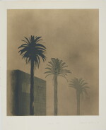 Dark Mist (Scottish Arts Council, 134)
