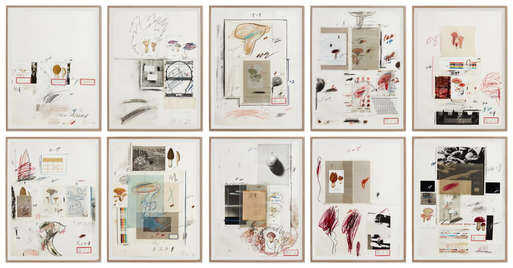 View full screen - View 1 of Lot 20. Natural History Part I Mushrooms (Bastian 42-51).